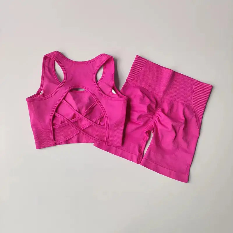 2 PCS Women's Seamless Yoga Set Sexy Sport Bra High Waist Sports Shorts Gym Fitness Sleeveless Workout Suit Sporstwear - IRON GODDESS