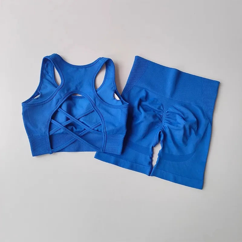 2 PCS Women's Seamless Yoga Set Sexy Sport Bra High Waist Sports Shorts Gym Fitness Sleeveless Workout Suit Sporstwear - IRON GODDESS