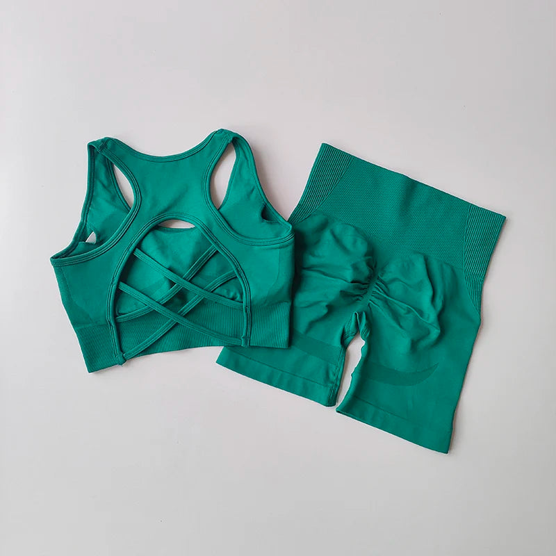 2 PCS Women's Seamless Yoga Set Sexy Sport Bra High Waist Sports Shorts Gym Fitness Sleeveless Workout Suit Sporstwear - IRON GODDESS