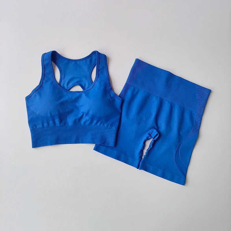 2 PCS Women's Seamless Yoga Set Sexy Sport Bra High Waist Sports Shorts Gym Fitness Sleeveless Workout Suit Sporstwear - IRON GODDESS