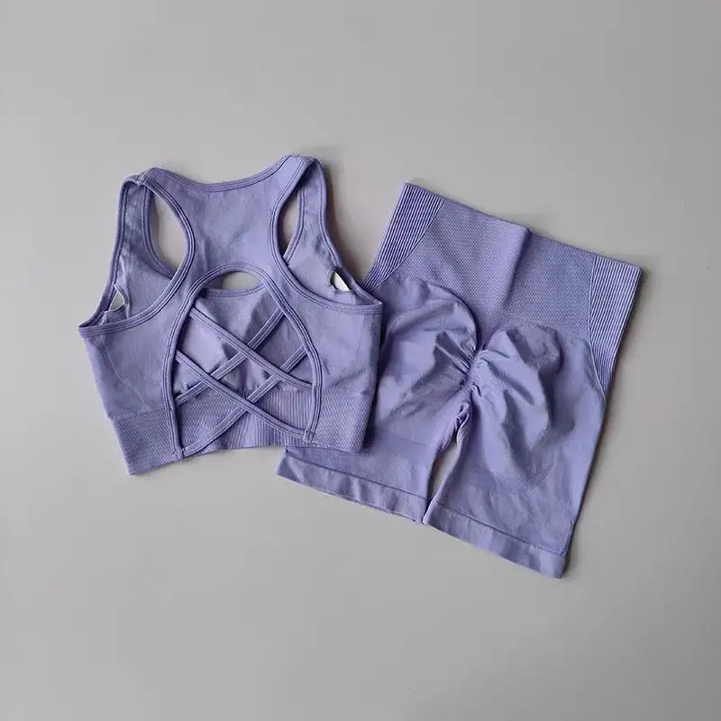 2 PCS Women's Seamless Yoga Set Sexy Sport Bra High Waist Sports Shorts Gym Fitness Sleeveless Workout Suit Sporstwear - IRON GODDESS