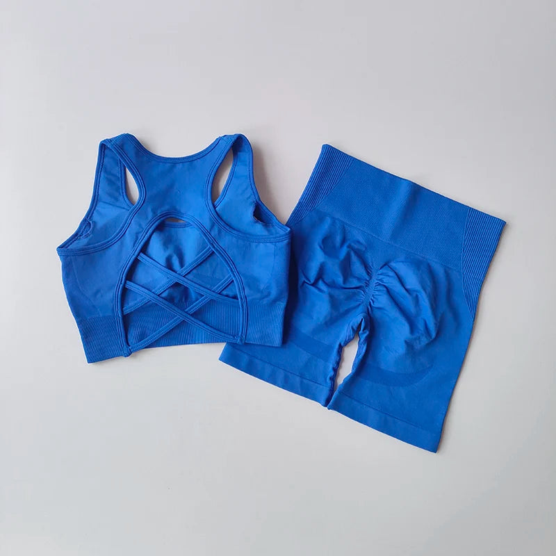 2 PCS Women's Seamless Yoga Set Sexy Sport Bra High Waist Sports Shorts Gym Fitness Sleeveless Workout Suit Sporstwear - IRON GODDESS