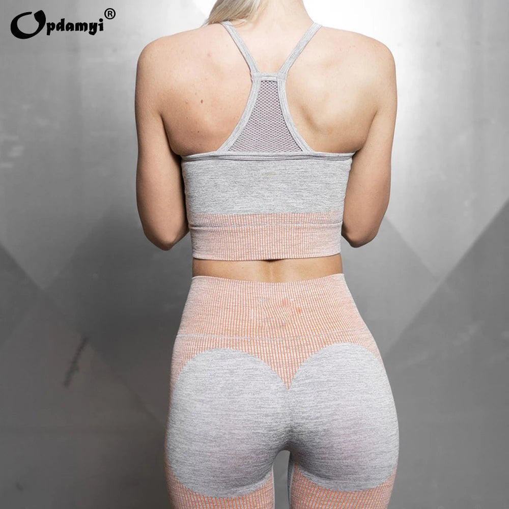 Women's Seamless Yoga Suit Sportswear Fitness Sport For Women Net Bra Gym Running Set Costume Yoga Sports High waist Leggings - IRON GODDESS