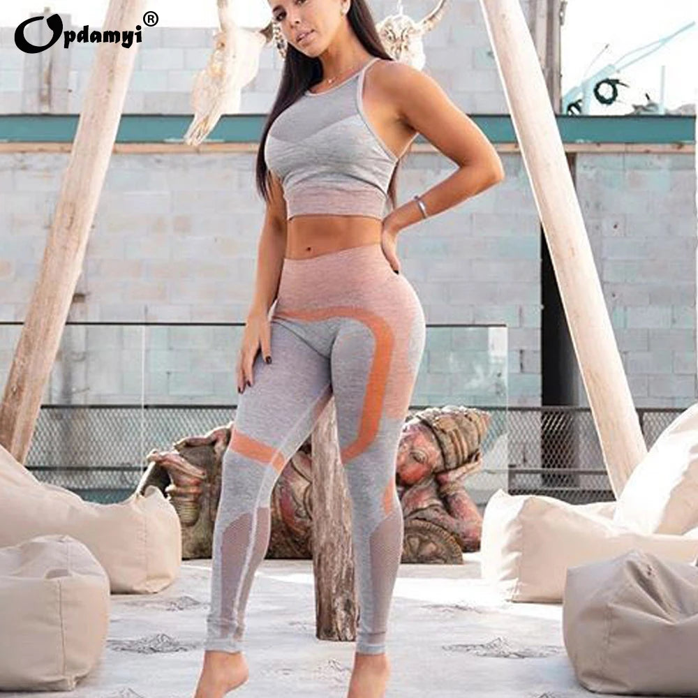 Women's Seamless Yoga Suit Sportswear Fitness Sport For Women Net Bra Gym Running Set Costume Yoga Sports High waist Leggings - IRON GODDESS