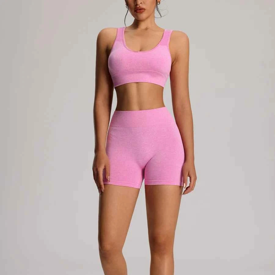 Seamless Yoga Bra  High Waist Shorts Set