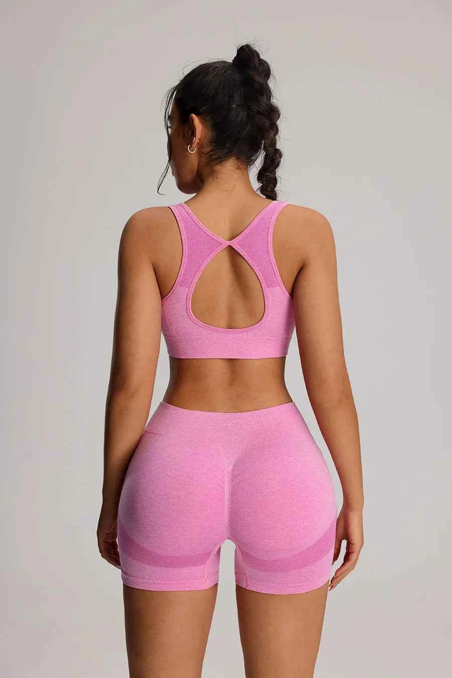 Seamless Yoga Bra  High Waist Shorts Set