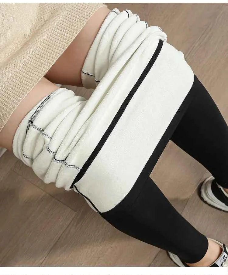 Plus Size Shark Pants HighWaisted ButtLifting Yoga Tights