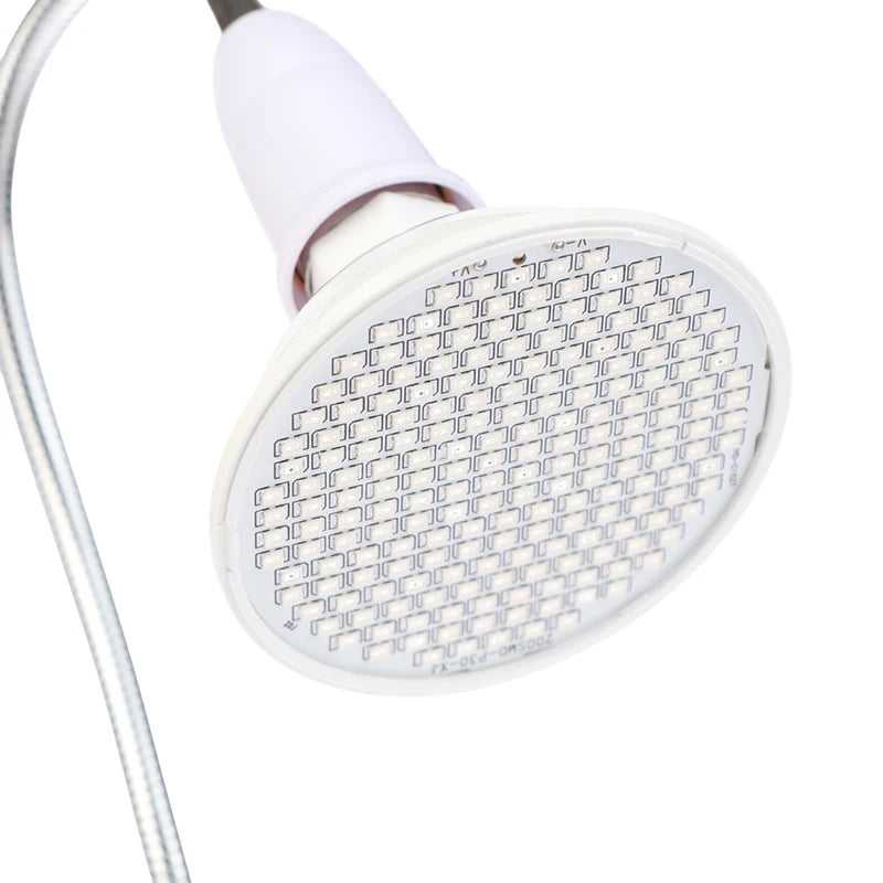 Red Light Therapy Bulb with Clip Skin Care  Pain Relief - IRON GODDESS