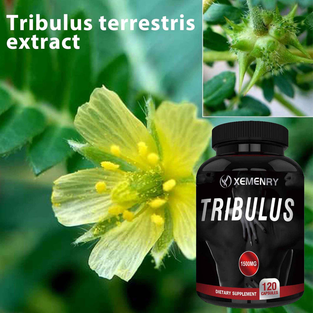 XEMENRY Tribulus 120 Capsules, 1500 for MG, Supports Healthy Fat Loss, Fitness Support, Bodybuilding Supplement, Easy to Take, Convenient Dosage, Pure, Quality Supplement, Herbal, Performance Booster, Active Lifestyle, Healthconscious, Vitamin And Supplem